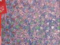 dsc00965