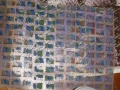 dsc00979